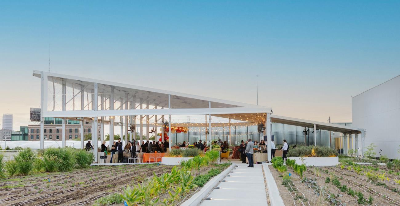 Organic Farm and Rooftop Event Venue
